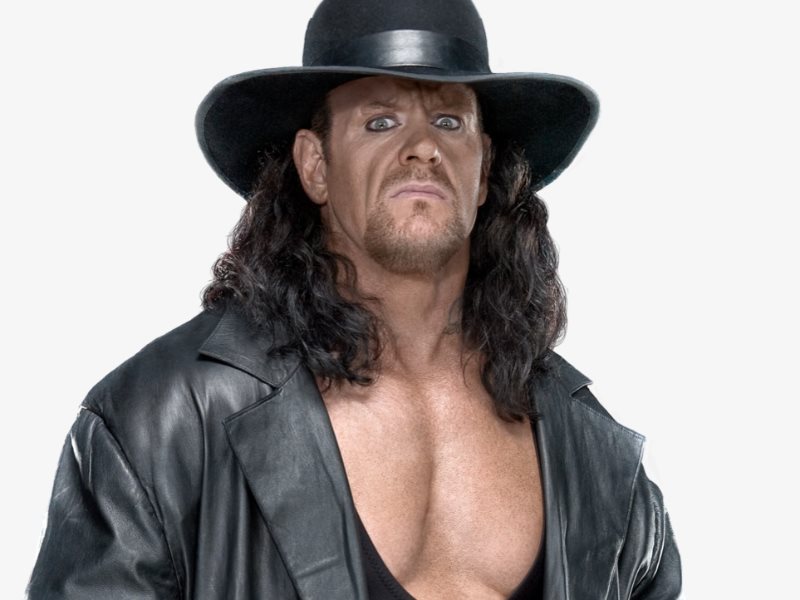 Undertaker™