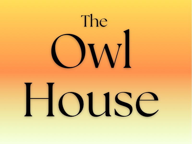 TeamUp - Owl House