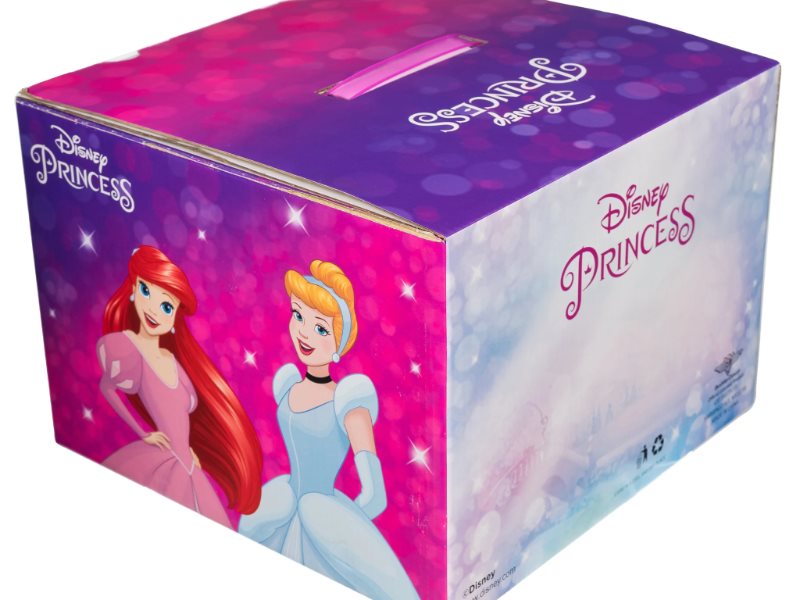 Disney Princess Mystery Box (pick up at Stylin' Boxes)